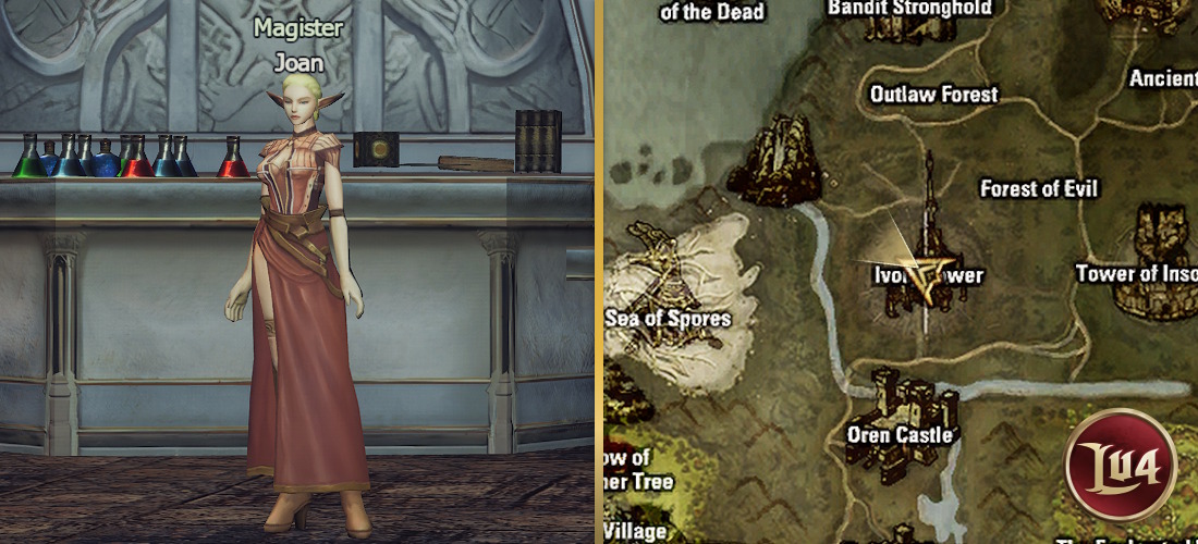 Magister Joan