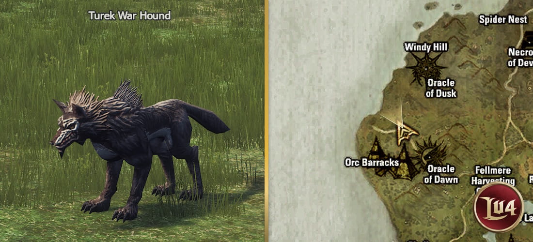 Turek War Hound